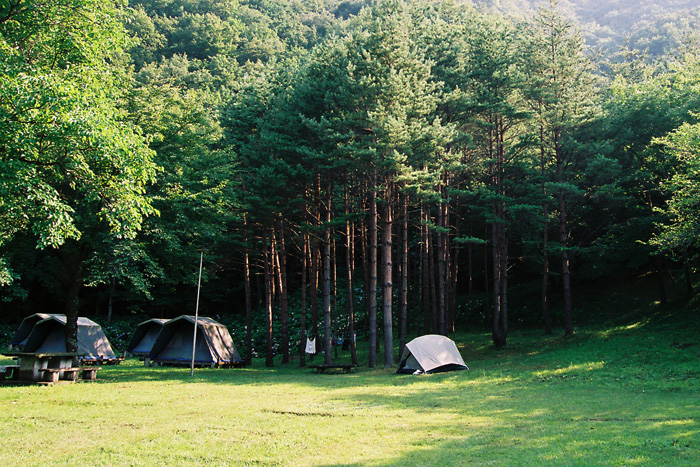 b0244424_2475210.jpg