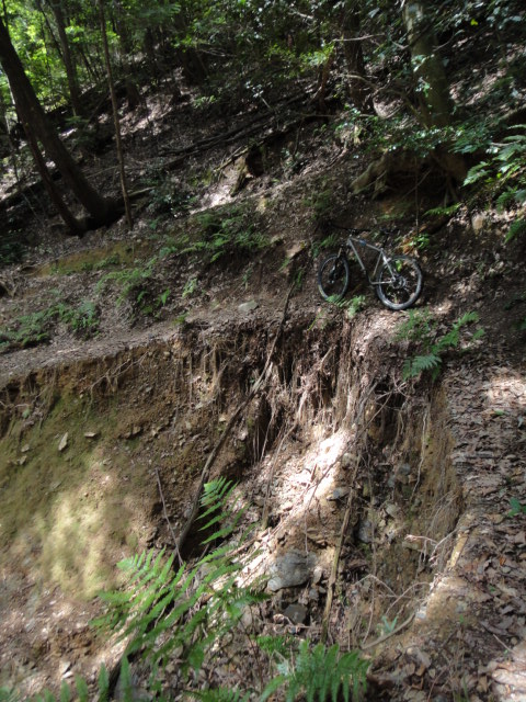 c0189724_1448429.jpg