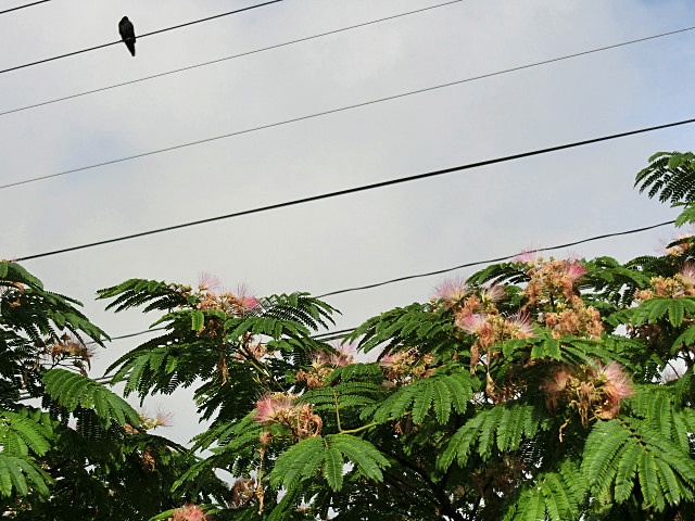 e0234924_9343030.jpg