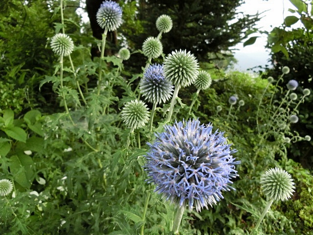 e0234924_9443899.jpg
