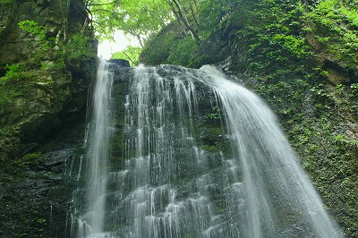 e0033229_2226470.gif