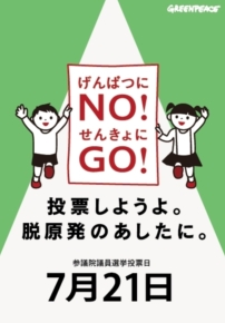 憲法・軍隊・TPP・原発・表現規制　2013.7参院選まとめ_c0024539_12144049.jpg