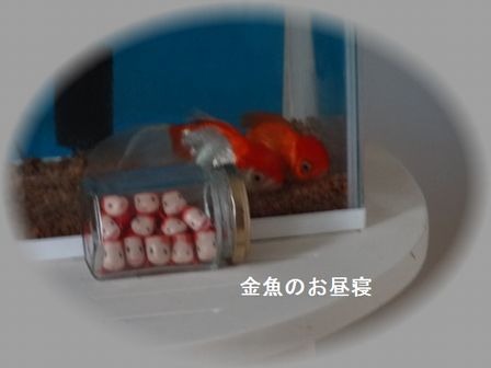 ☆長雨があがって・・_d0165645_914040.jpg