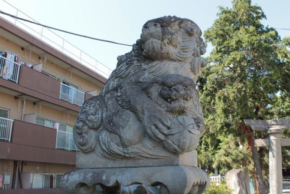 e0316056_28635.jpg