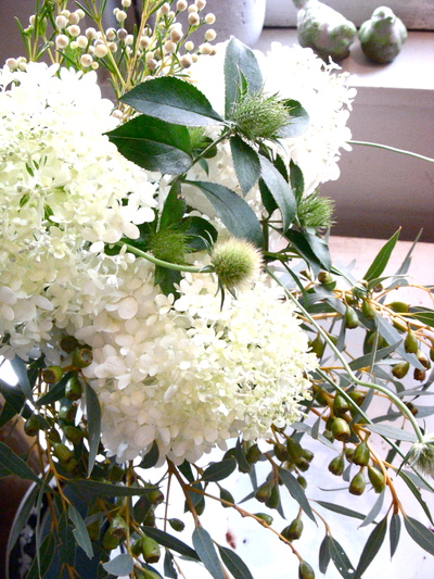 引っ越し。。。_a0229658_9172823.jpg