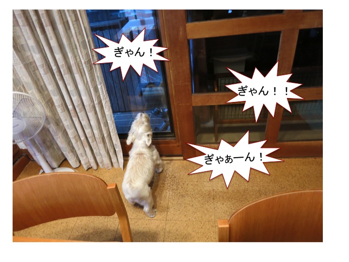 「カミナリ」よりうるさい!_c0260460_665511.jpg