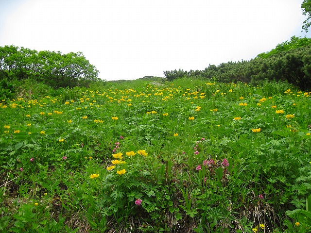 2013.7.15～18 白峰三山縦走_c0219866_195479.jpg