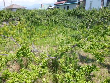 c0275667_22401458.jpg