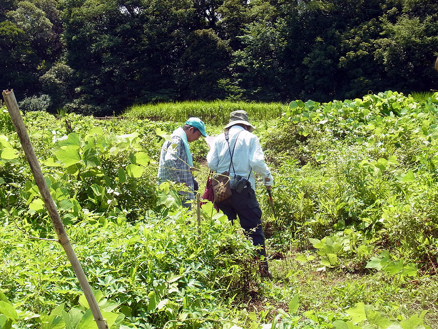 2013年7月19日（金）_a0243381_13141226.jpg