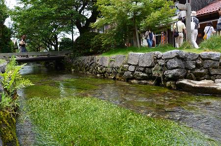 c0229483_2316987.jpg