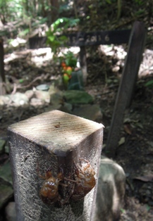 磁器の花器の制作_d0195183_125833.jpg