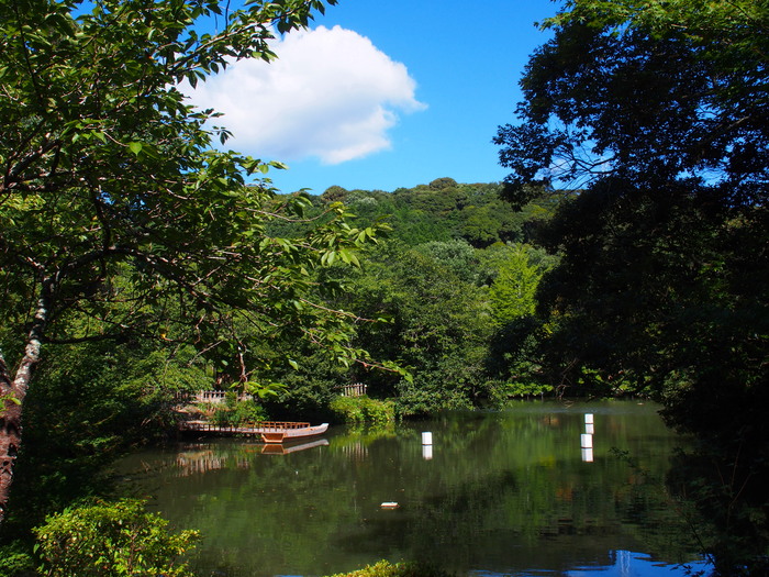 御船山楽園（武雄市）　2013.7.19撮影_a0149488_2051161.jpg