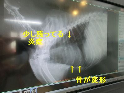 e0222588_10281259.jpg