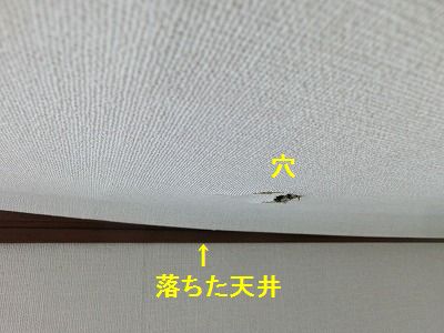 e0222588_103259.jpg