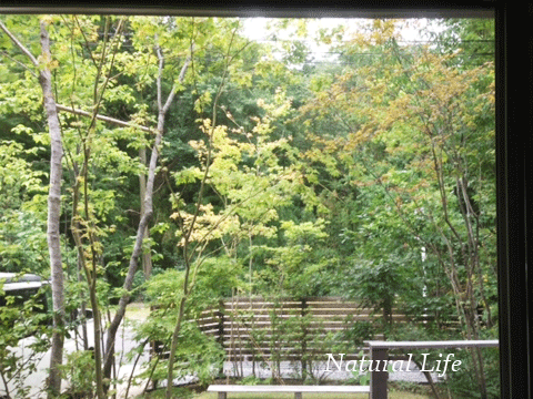 b0162000_5191195.gif