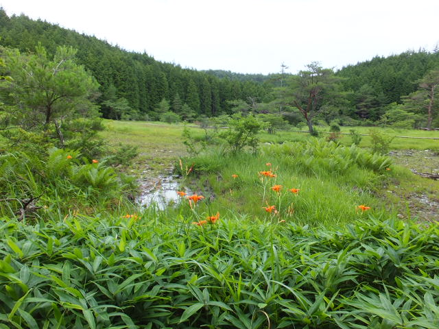 屏風山（びょうぶざん）のつづきと稲荷温泉～_a0271502_10302417.jpg