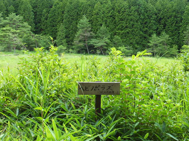 a0271502_10314228.jpg