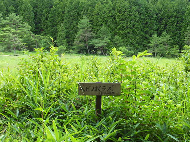 屏風山（びょうぶざん）のつづきと稲荷温泉～_a0271502_10314228.jpg