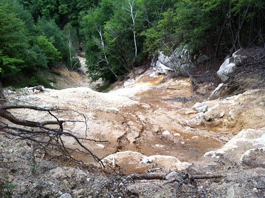 b0055202_01405.jpg