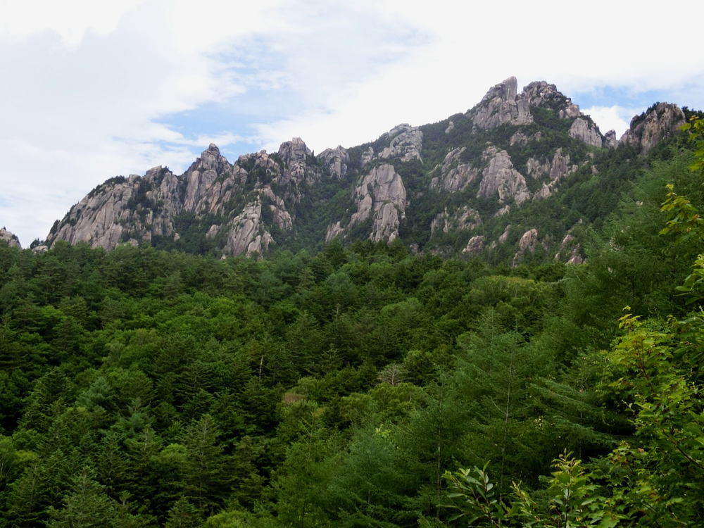b0055202_08594.jpg