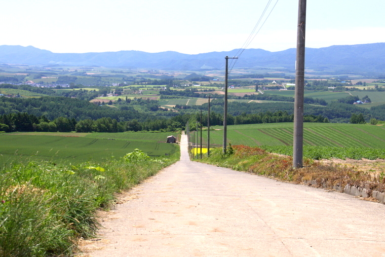 d0248502_16152051.jpg
