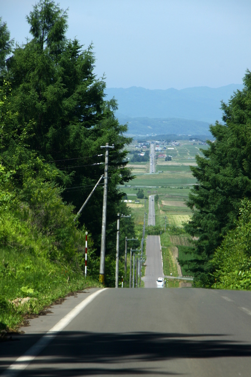 d0248502_16224825.jpg