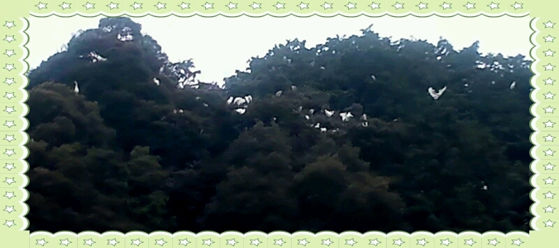 d0306603_0403640.jpg