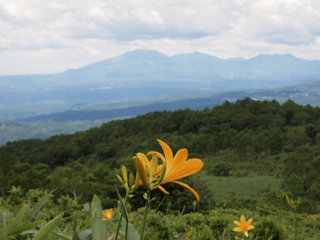 e0039703_23462023.jpg