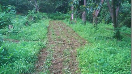 e0270403_17524348.jpg