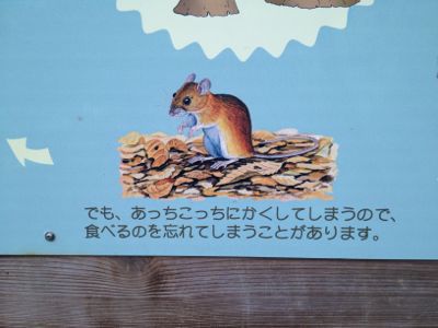 夏ニガテ_e0239908_18372040.jpg