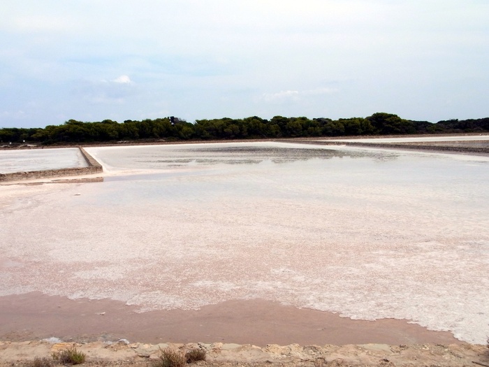 フォルメンテーラ島のビーチへ_d0116009_10104295.jpg