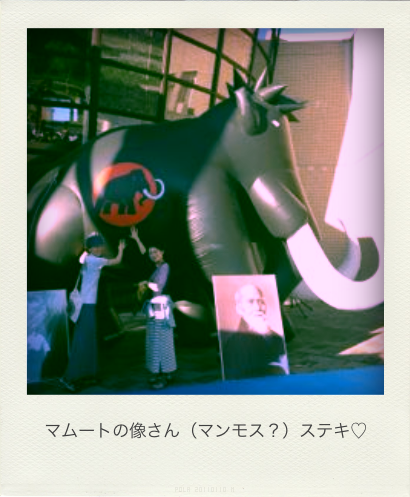 b0183911_11402155.png