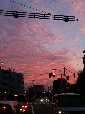 e0058913_2101341.jpg