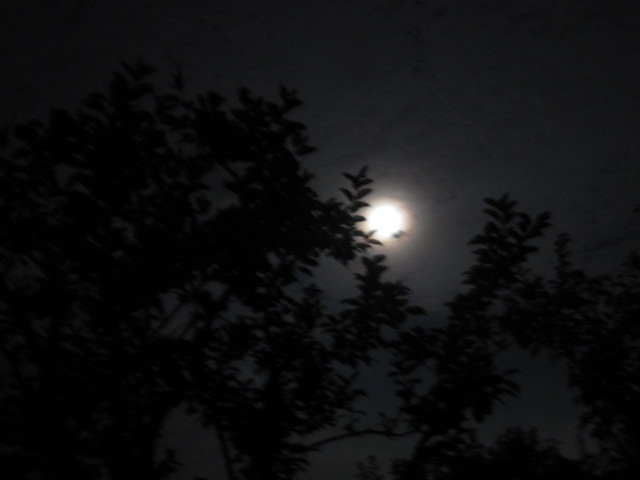 夜空_c0200314_2342252.jpg