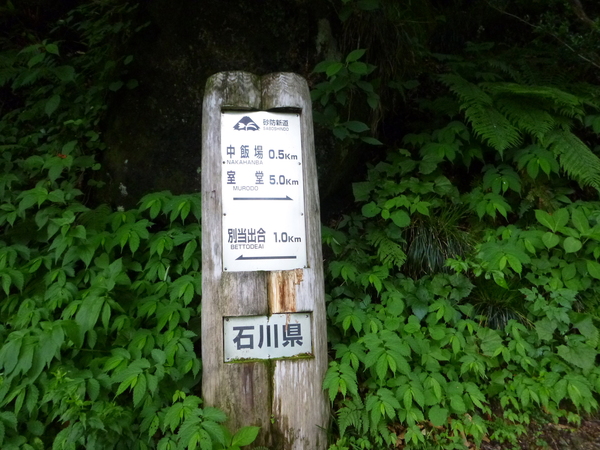 d0170615_8101914.jpg
