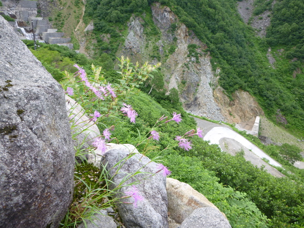 d0170615_813538.jpg