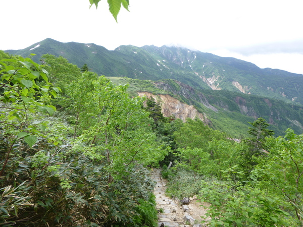 d0170615_8142724.jpg