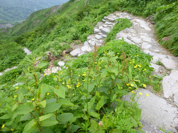 d0170615_816139.jpg
