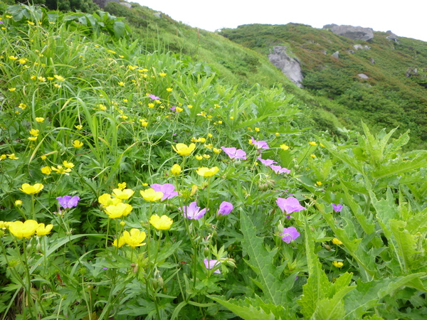 d0170615_8163620.jpg