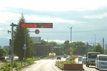 暑中?_b0259218_433292.jpg
