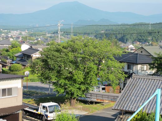 続編:時系列から学ぶことの大切さとは・・_f0076731_2221368.jpg