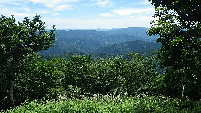 c0029332_2155202.jpg