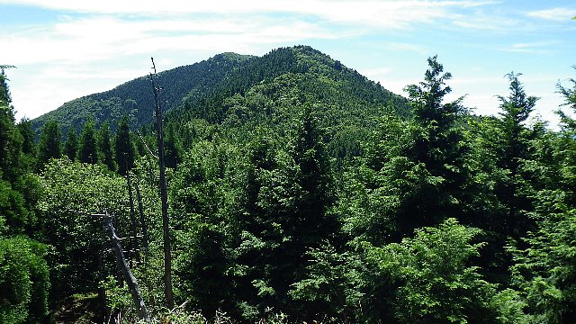 c0029332_21554712.jpg