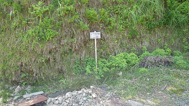 c0029332_21555912.jpg