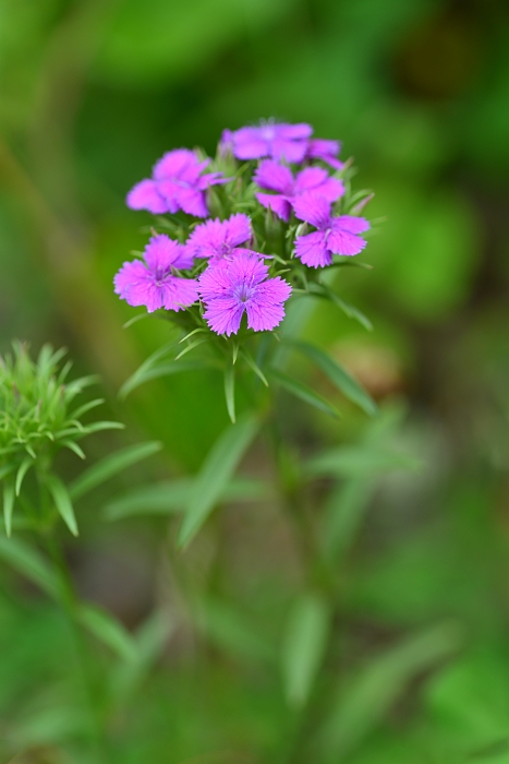 b0236334_21163227.jpg