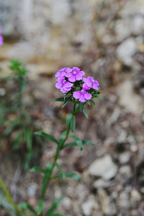 b0236334_21164653.jpg