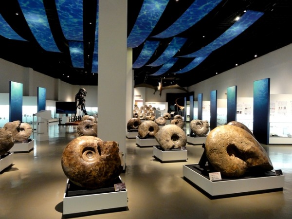 d0235336_21391832.jpg