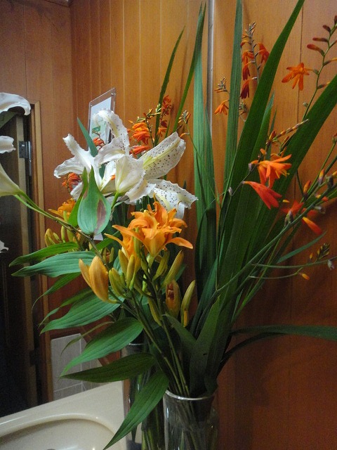 f0208737_8174354.jpg