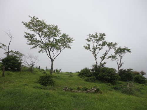 a0048040_20523051.jpg