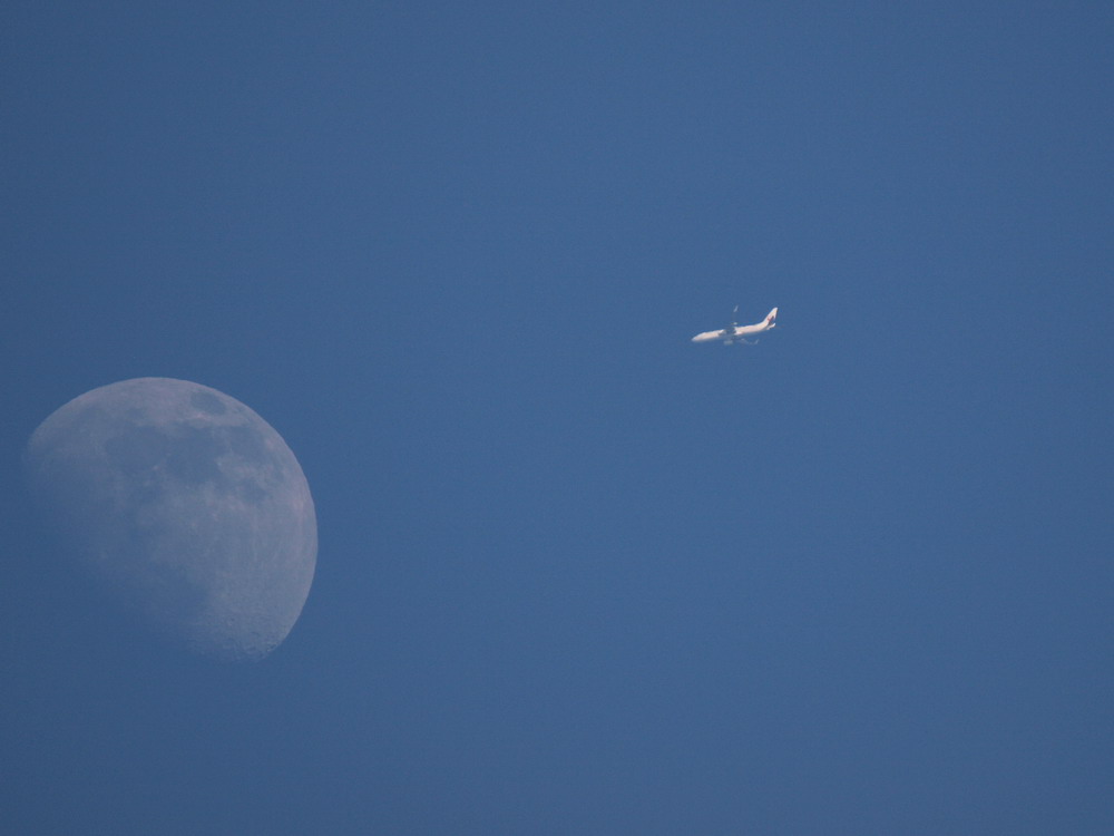 e0128144_5213068.jpg